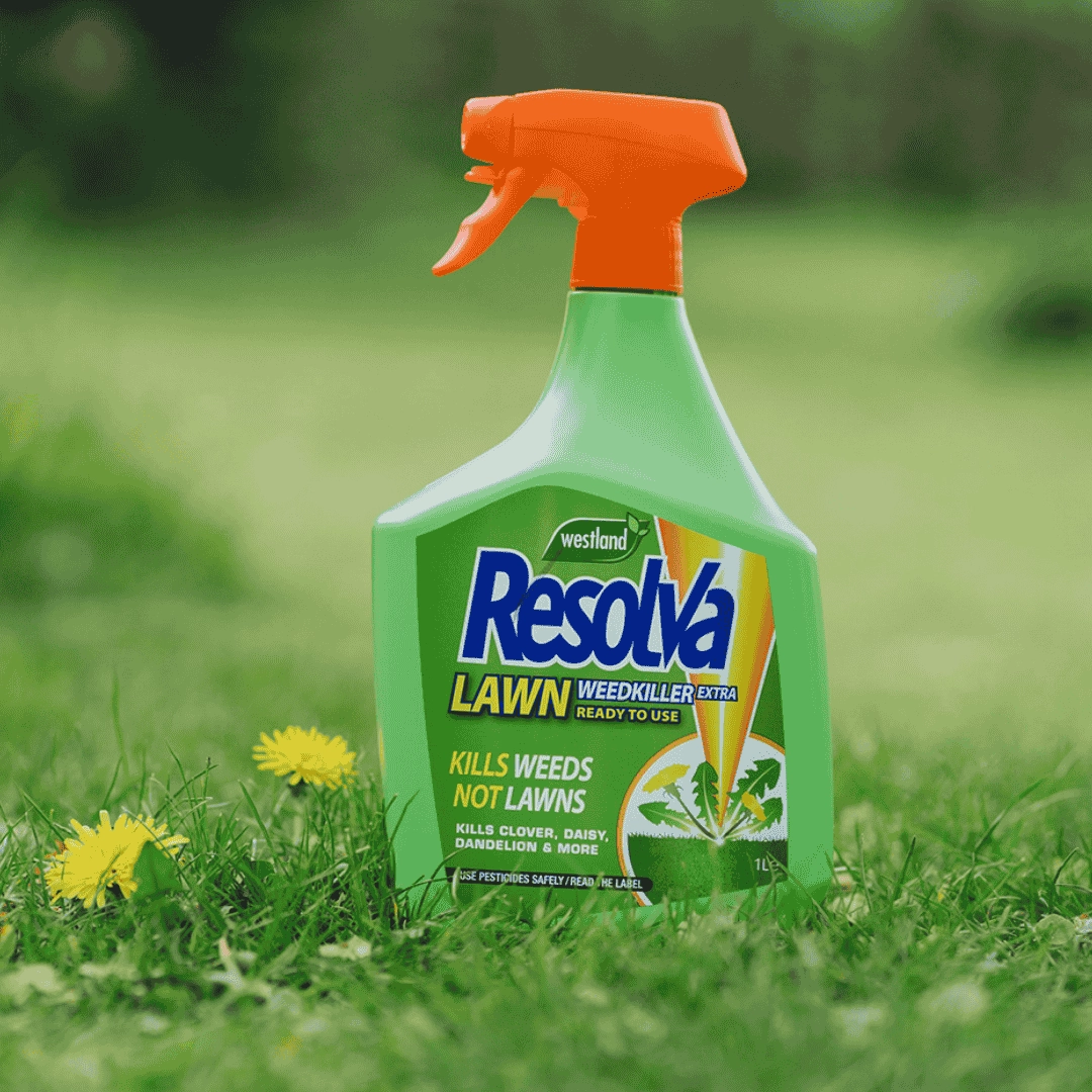 Resolva Lawn Weedkiller RTU 1 Litre premium quality garden tool set with case