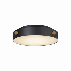 Rivet VX LED Flush MountWeatherproof outdoor lighting
