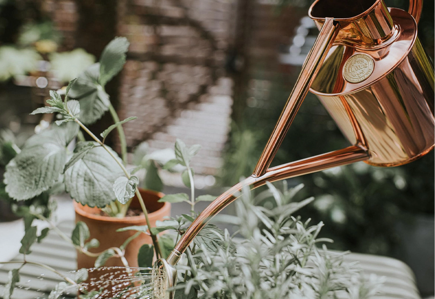 Rowley Ripple Copper Watering Can