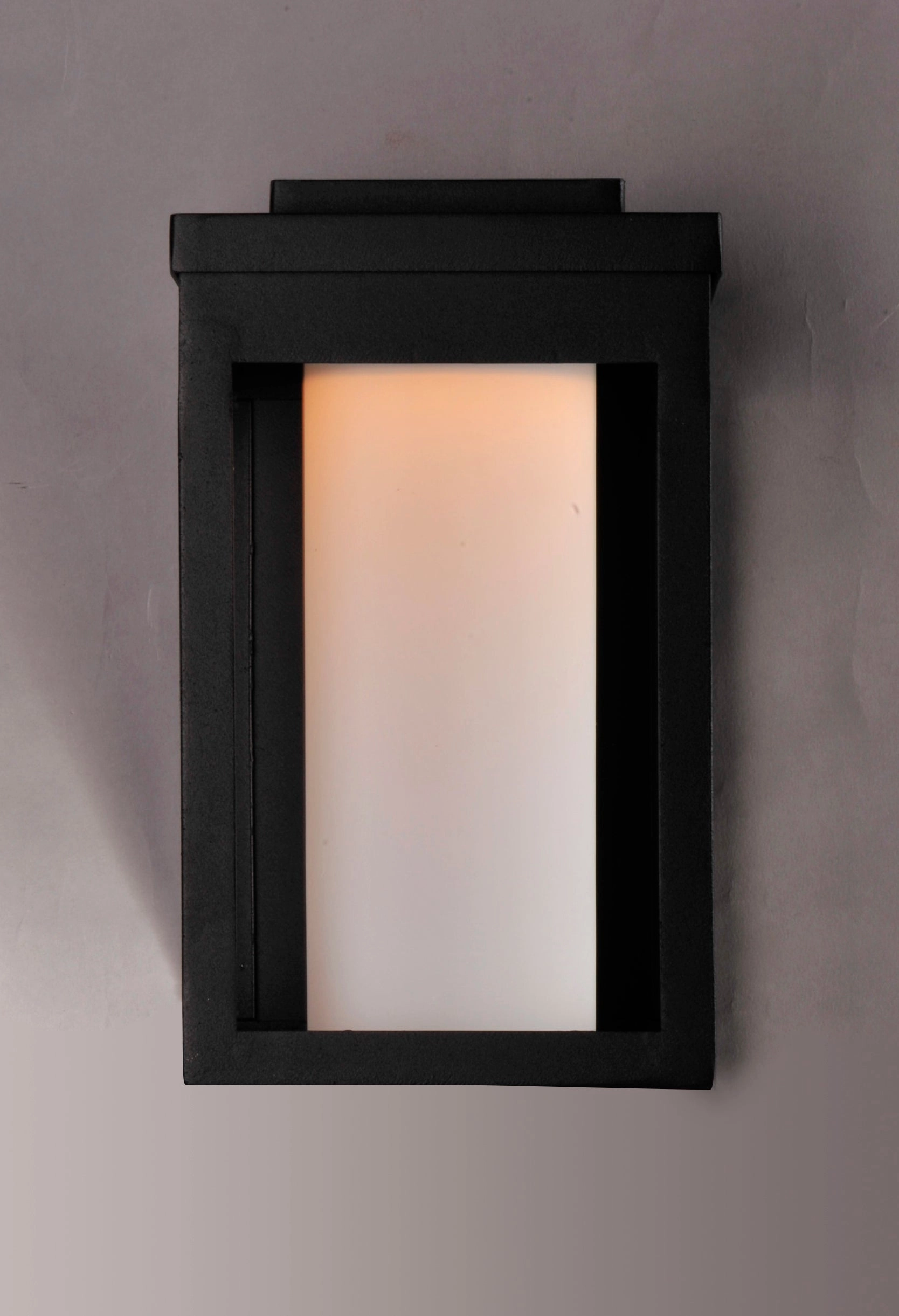 Salon LED LED Outdoor Wall Sconce Black