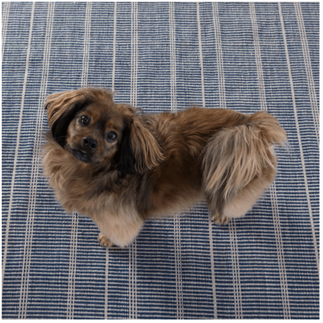 Samson Navy Handwoven Indoor/Outdoor Rug