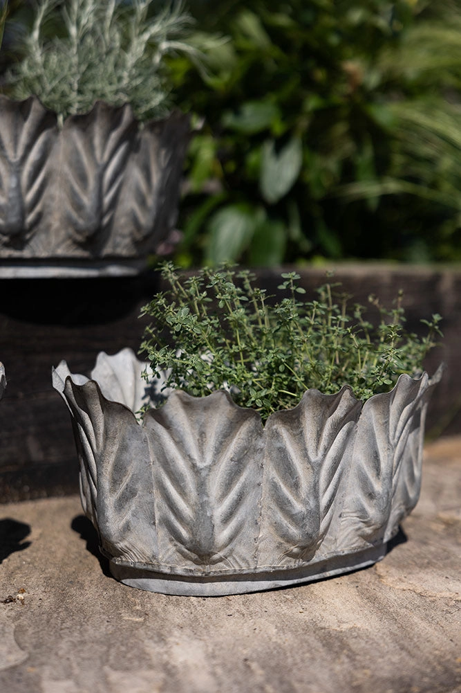 Set of 3 Petal Antiqued Planters