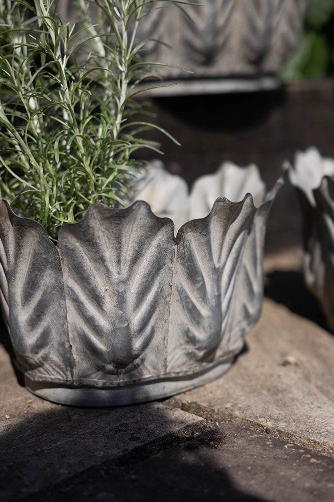 Set of 3 Petal Antiqued Planters