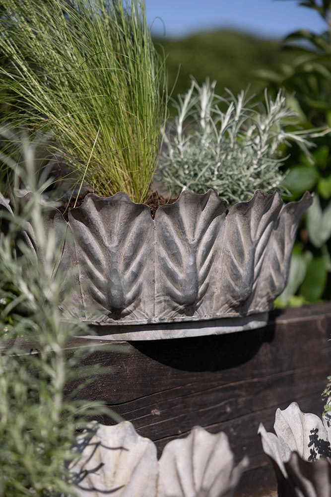 Set of 3 Petal Antiqued Planters