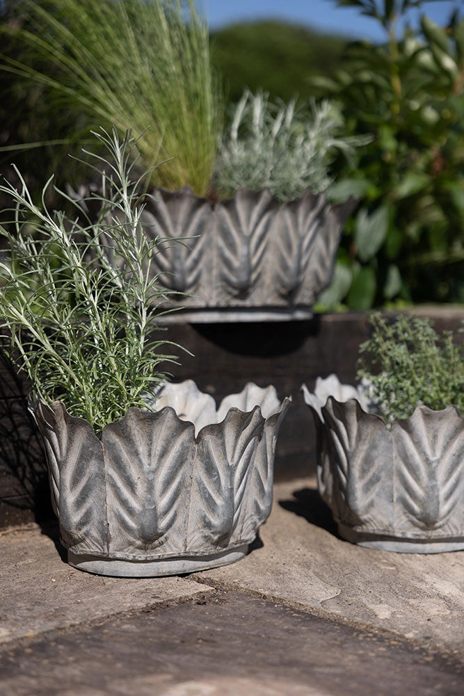 Set of 3 Petal Antiqued Planters