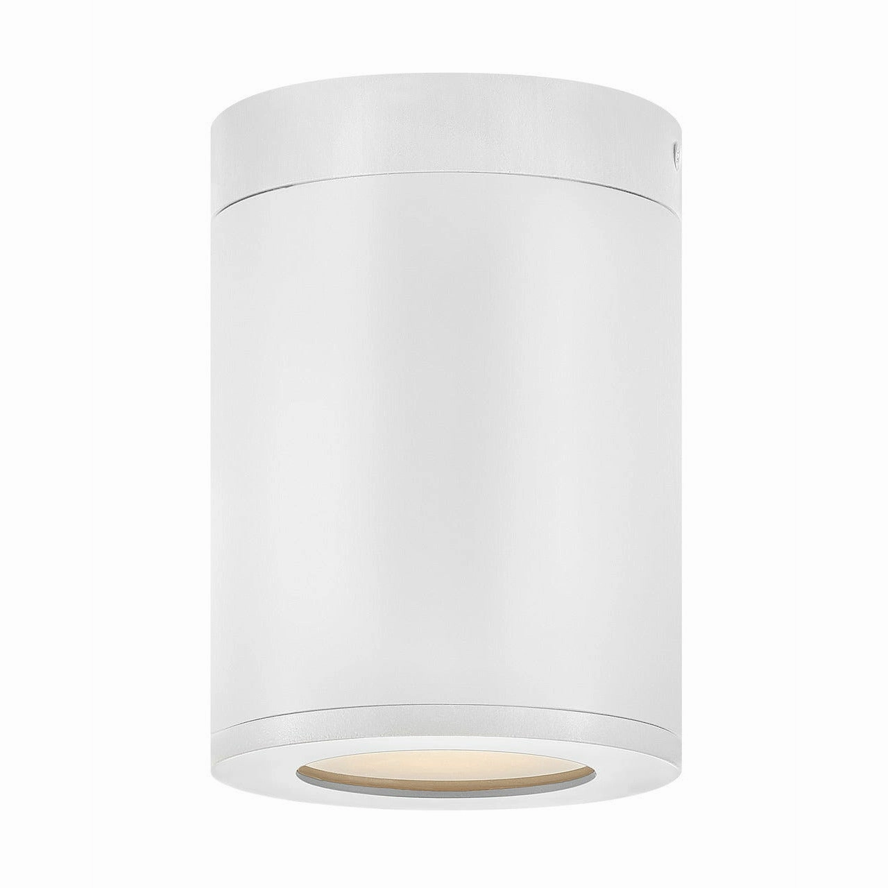 Silo Outdoor Ceiling Light