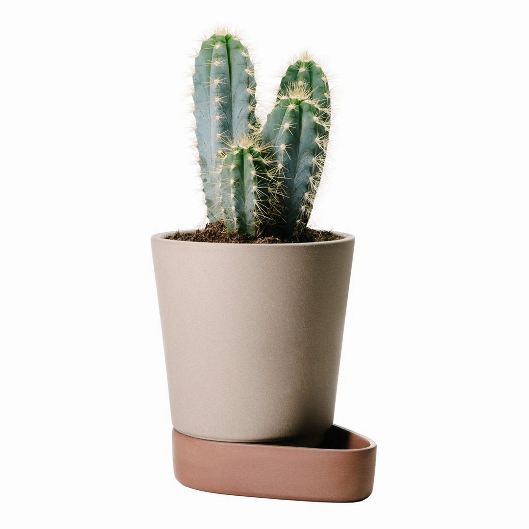 Sip Plant Pot