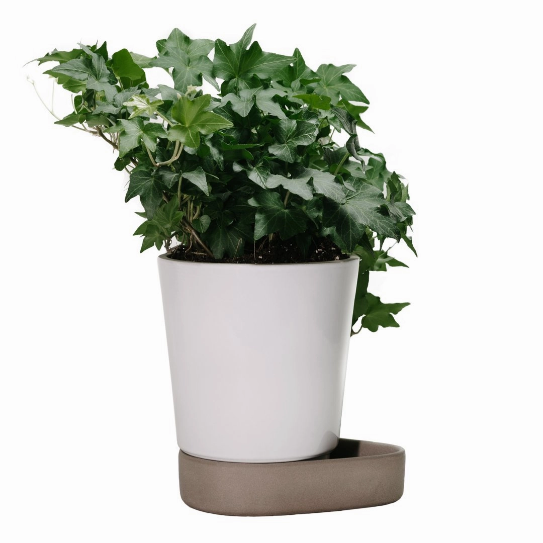 Sip Plant Pot
