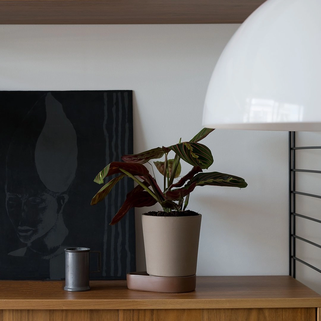 Sip Plant Pot