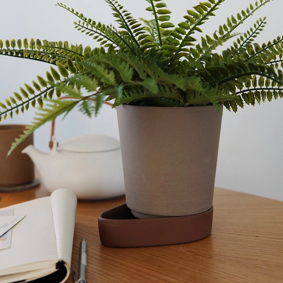 Sip Plant Pot