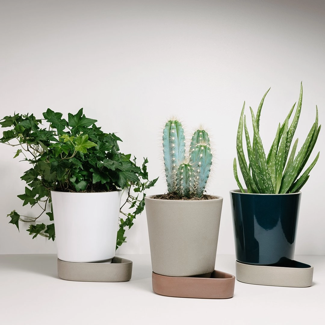 Sip Plant Pot