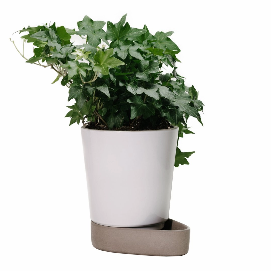 Sip Plant Pot