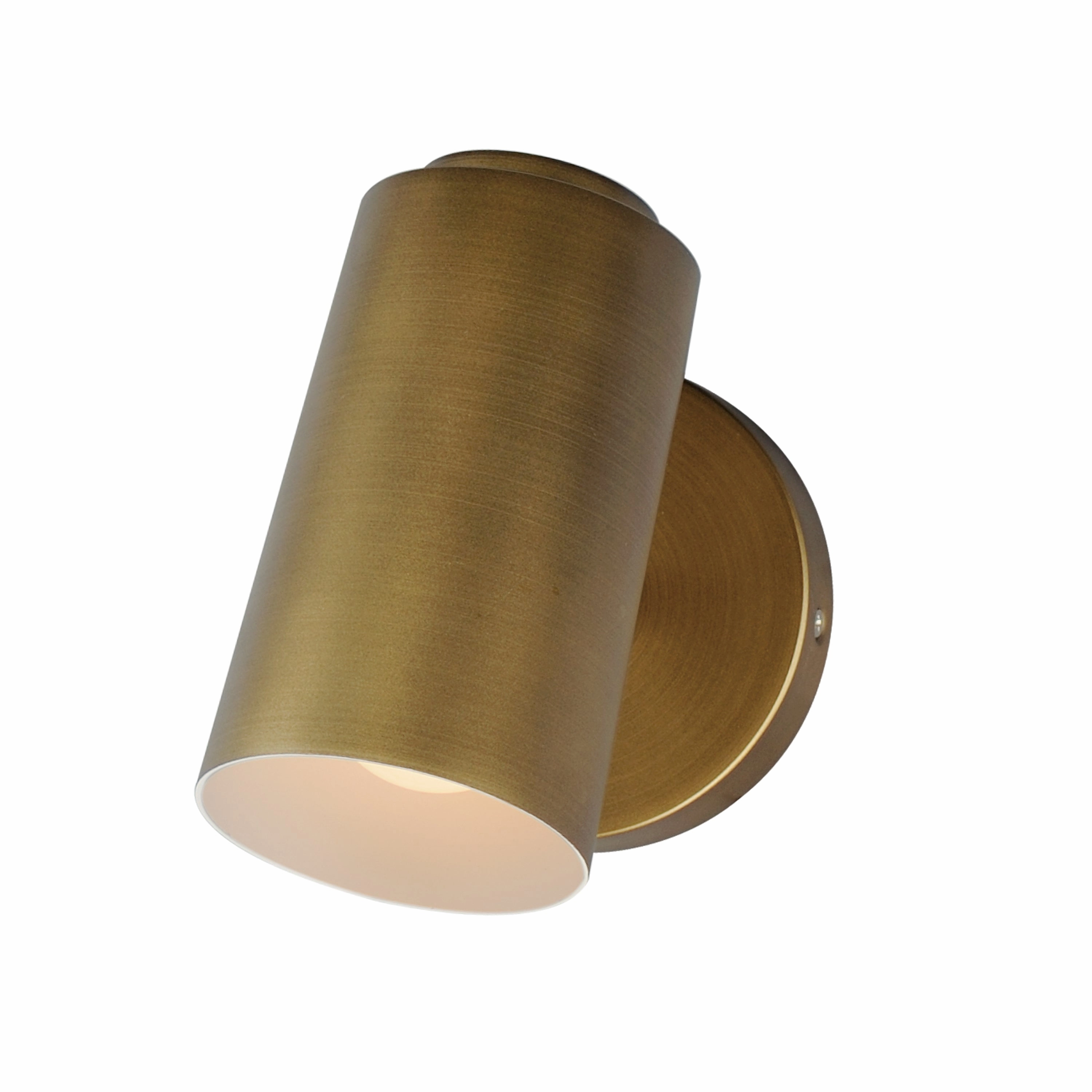 SpotLight LED Outdoor Wall Light