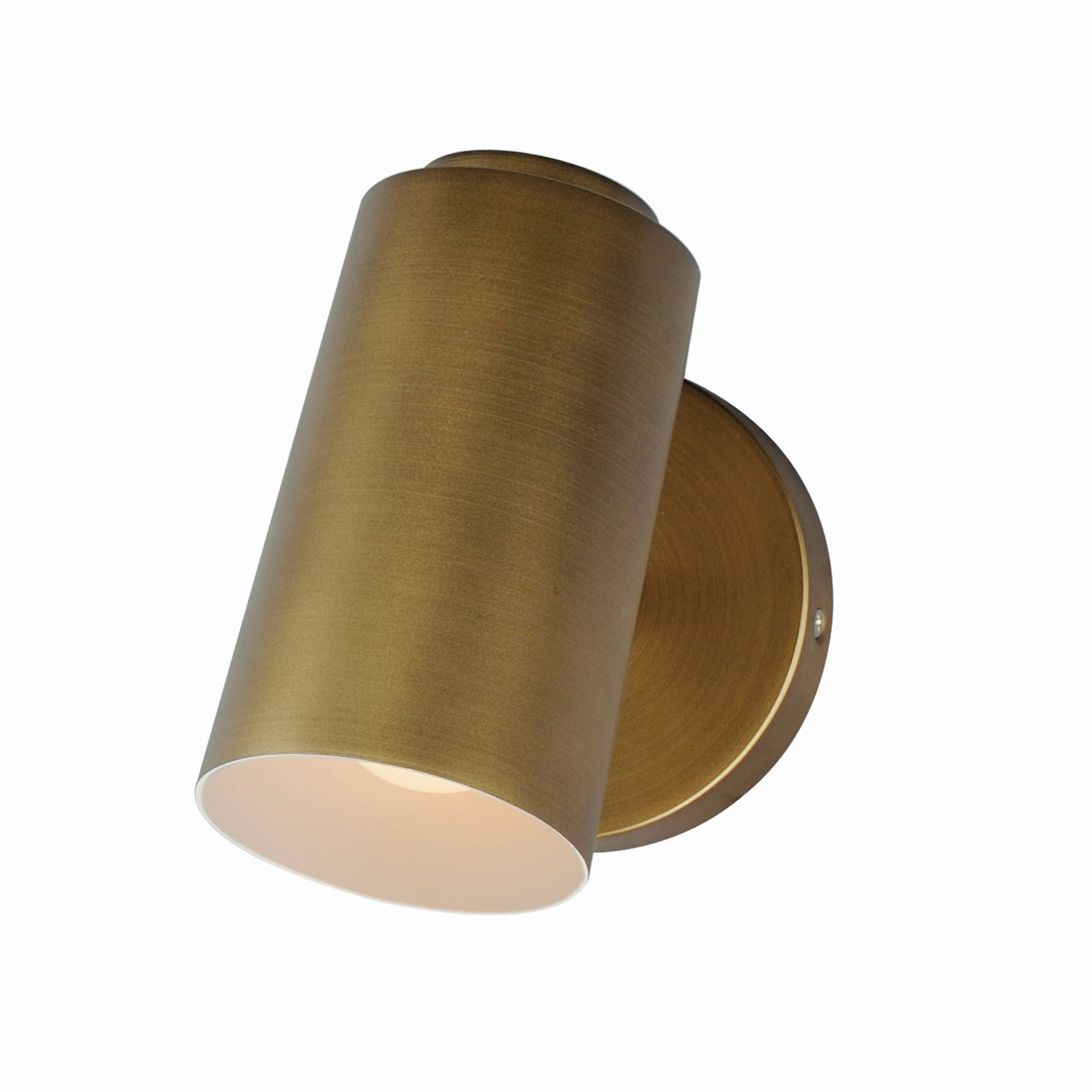 SpotLight LED Outdoor Wall Light