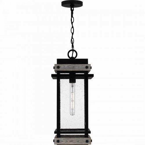 Strader 1-Light Outdoor Pendant
