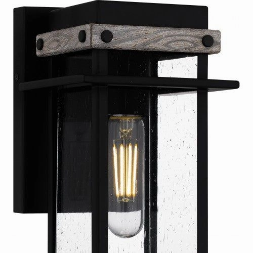 Strader 1-Light Small Outdoor Lantern
