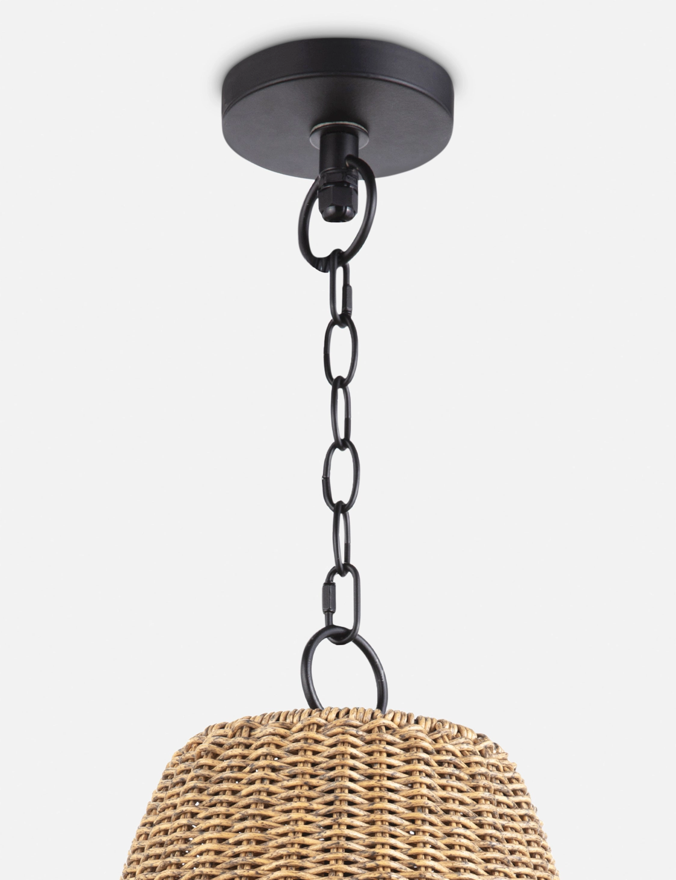 Summer Outdoor Pendant Light by Regina Andrew