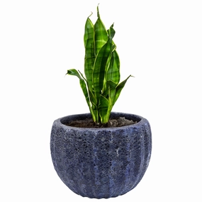 Sunnydaze 13.5" Ceramic Plant Pot - Dark Blue Fluted Lava Finish decorative outdoor planter box designs