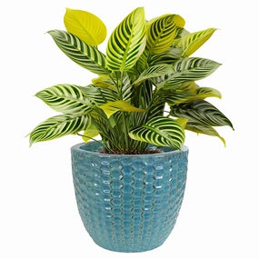 Sunnydaze 14" Ceramic Plant Pot - Turquoise Raised Hexagon Pattern decorative outdoor planter box designs