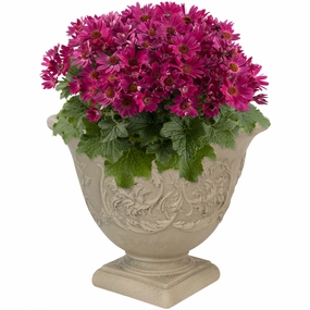 Sunnydaze Darcy Polyresin Outdoor Garden Planter Urn - Beige - 16" decorative outdoor planter box designs