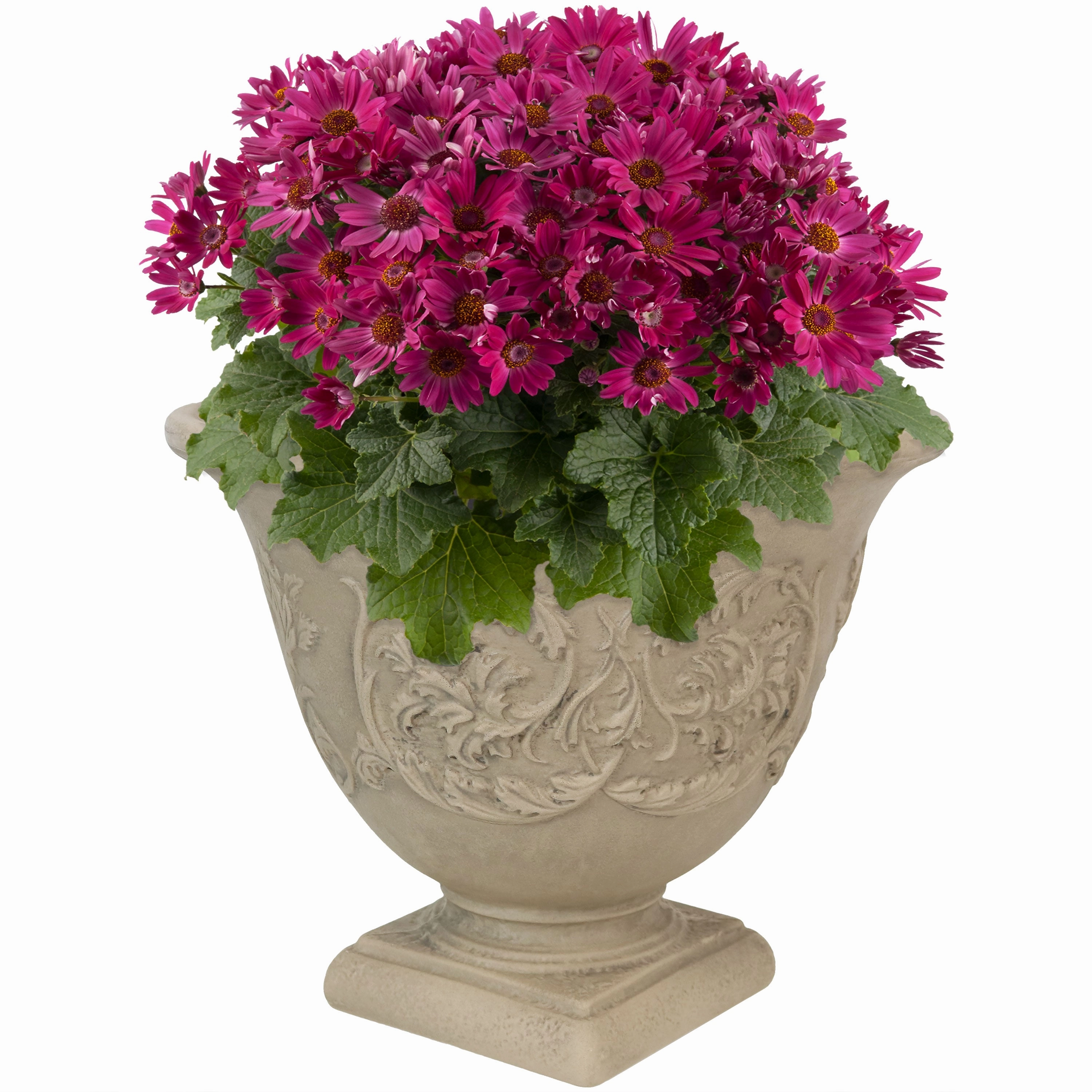 Sunnydaze Darcy Polyresin Outdoor Garden Planter Urn - Beige - 16" decorative outdoor planter box designs