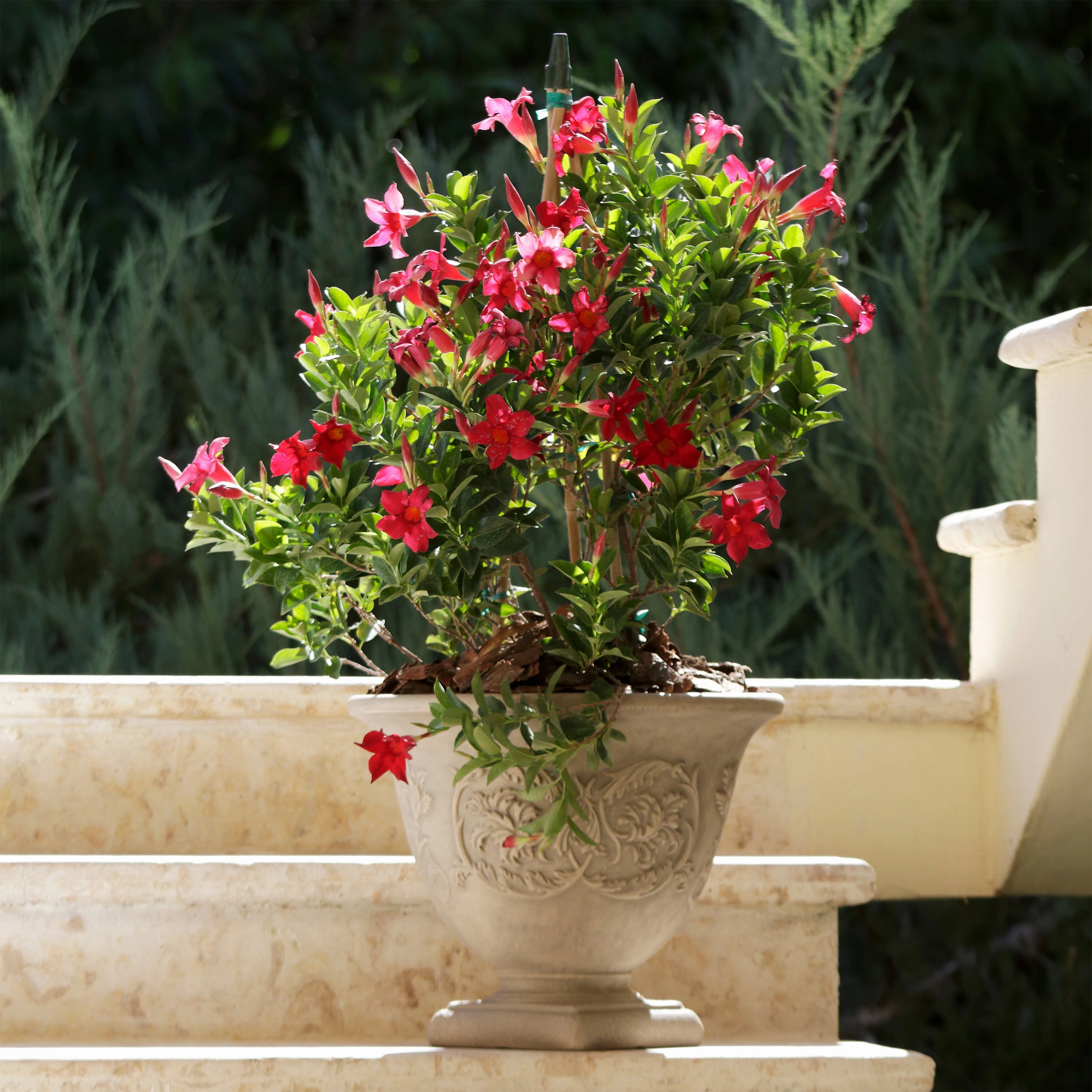 Sunnydaze Darcy Polyresin Outdoor Garden Planter Urn - Beige - 16"