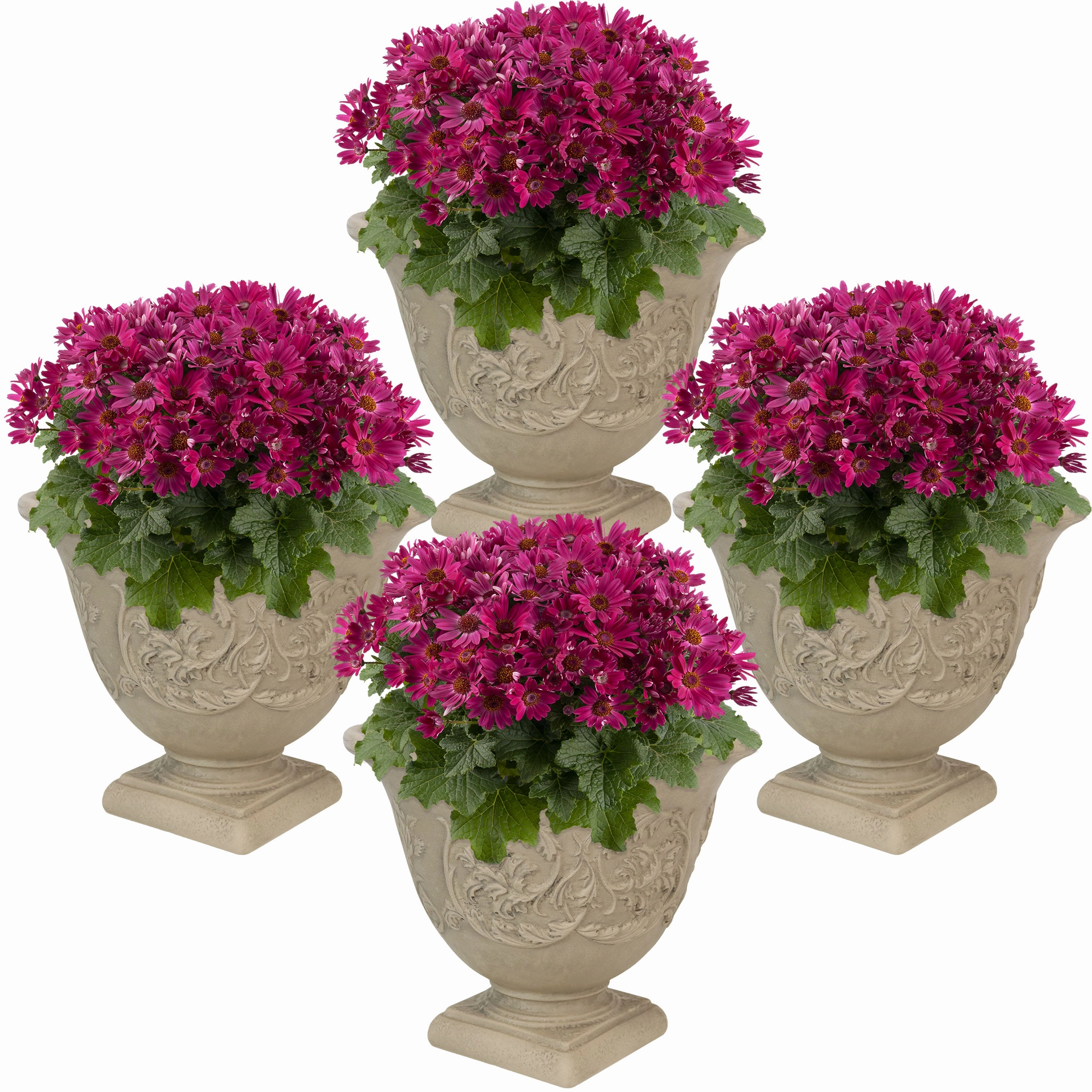 Sunnydaze Darcy Polyresin Outdoor Garden Planter Urn - Beige - 16"