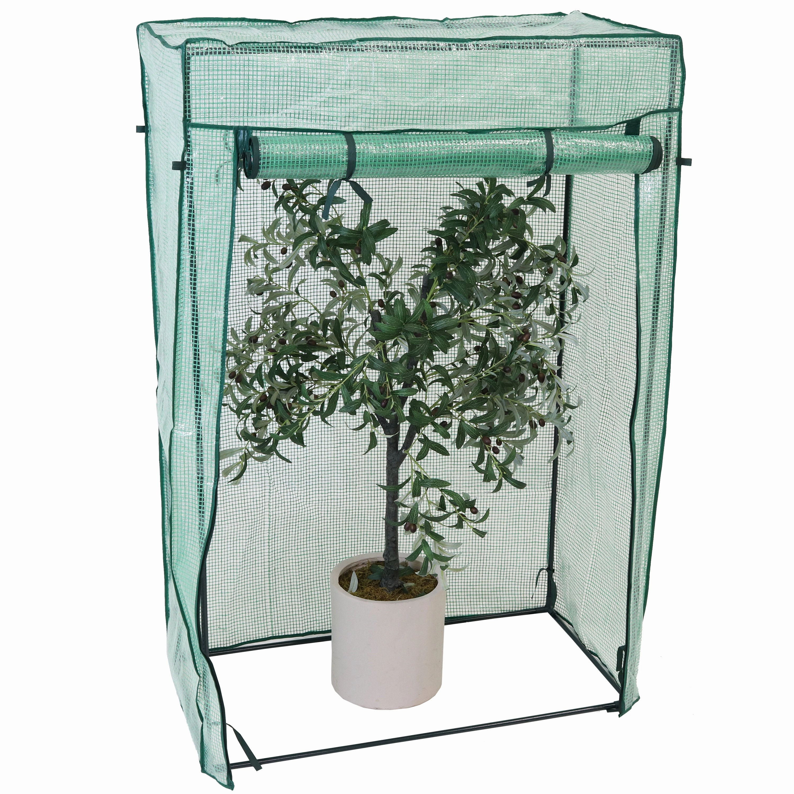 Sunnydaze Deluxe Potted Plant and Tomato Plant Greenhouse - Green decorative outdoor planter box designs
