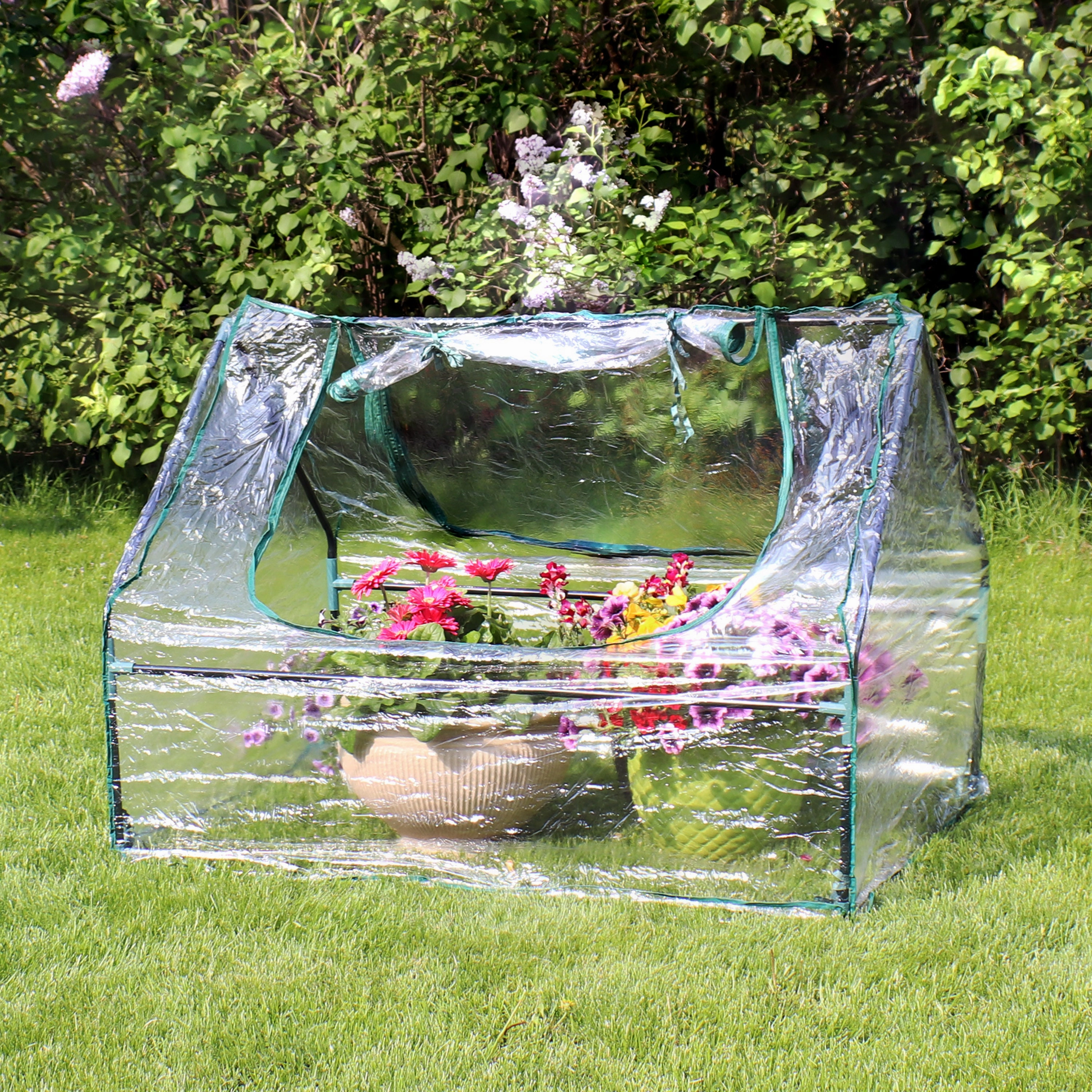 Sunnydaze Mini Greenhouse with 2 Side Doors - Clear