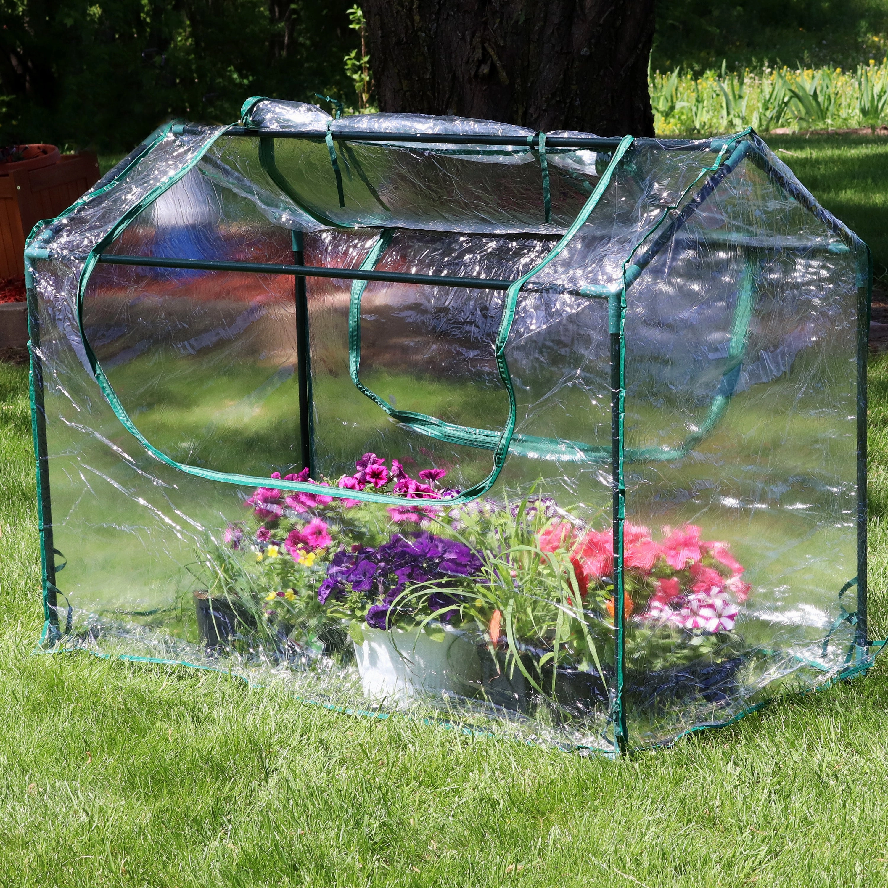 Sunnydaze Mini Greenhouse with 2 Side Doors - Clear