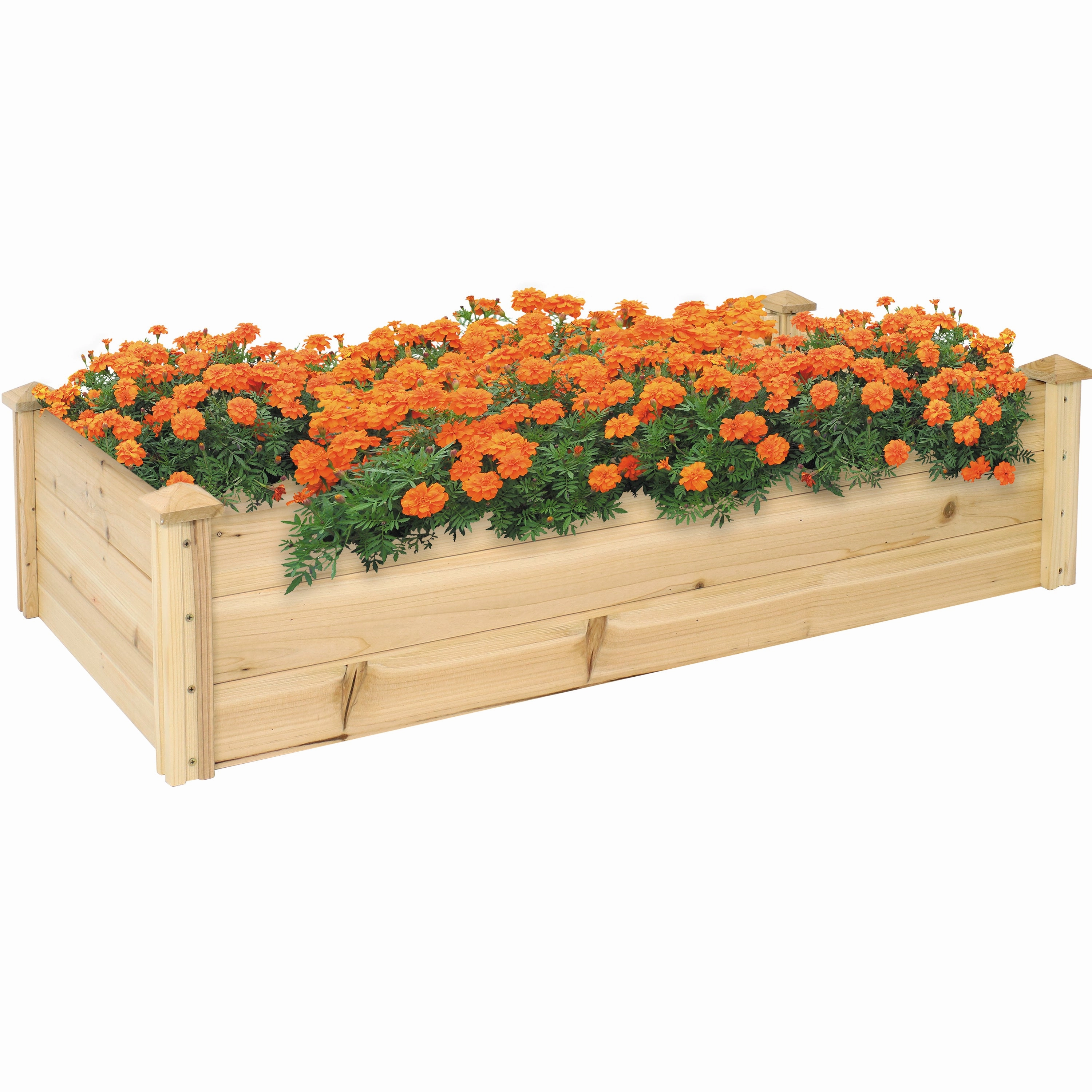 Sunnydaze Rectangular Wood Raised Garden Bed - 24" x 48.25"
