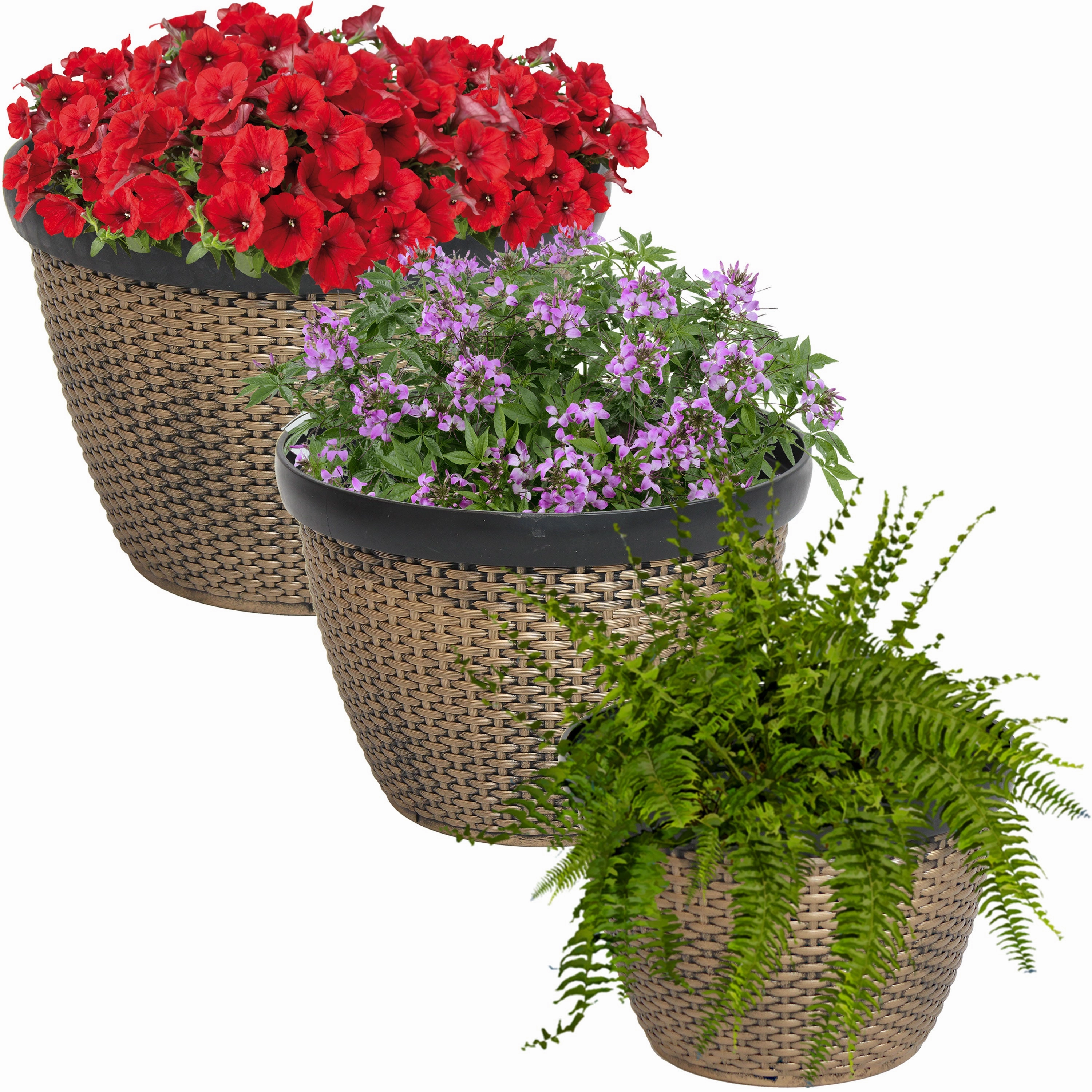 Sunnydaze Resin Faux Basketweave Outdoor Planter - Set of 3 decorative outdoor planter box designs