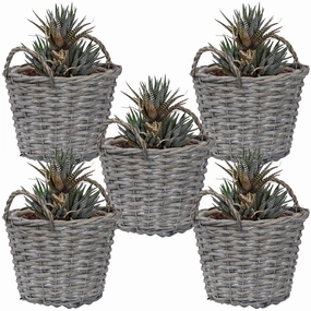 Sunnydaze Set of 5 Willow Wicker Basket Planters decorative outdoor planter box designs