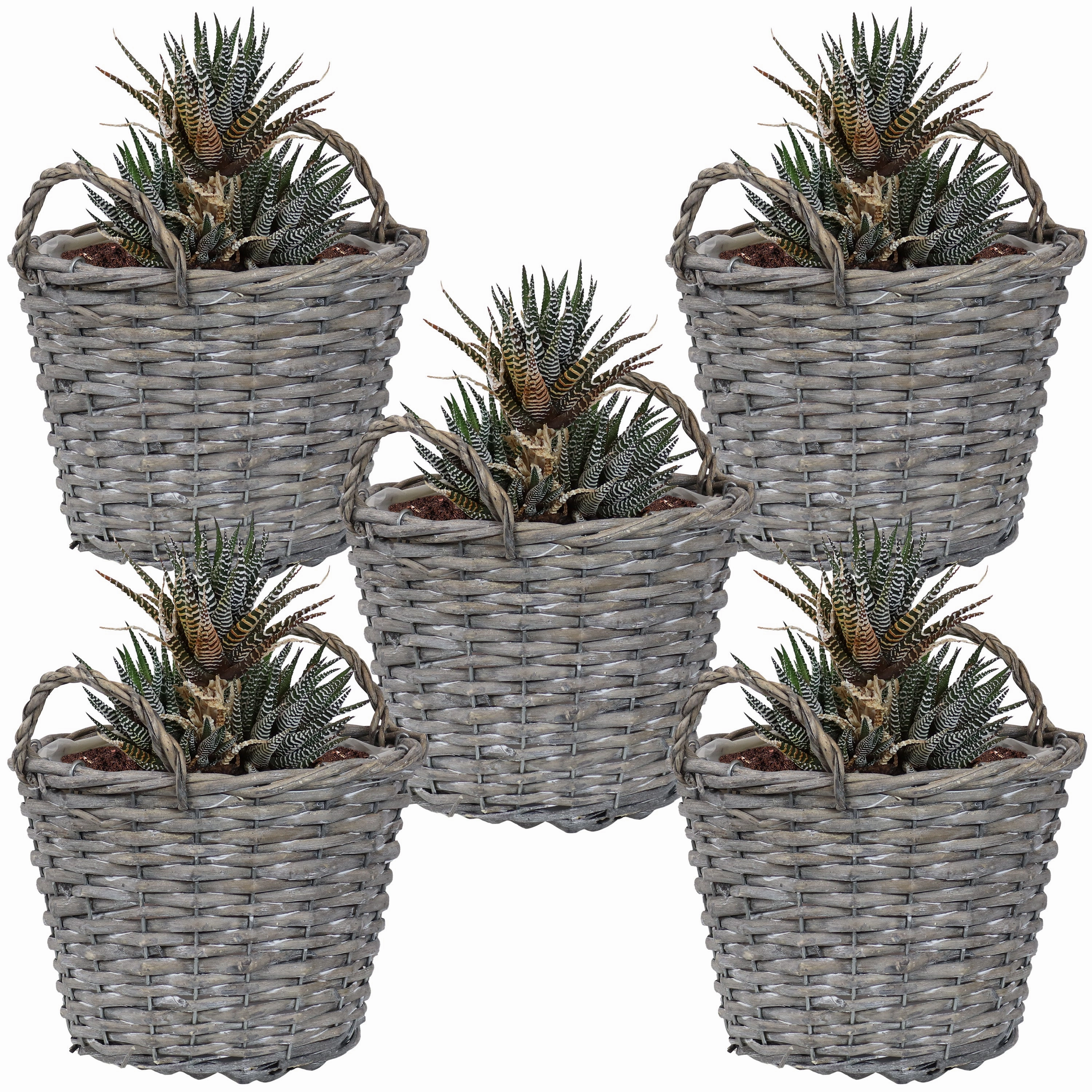 Sunnydaze Set of 5 Willow Wicker Basket Planters decorative outdoor planter box designs