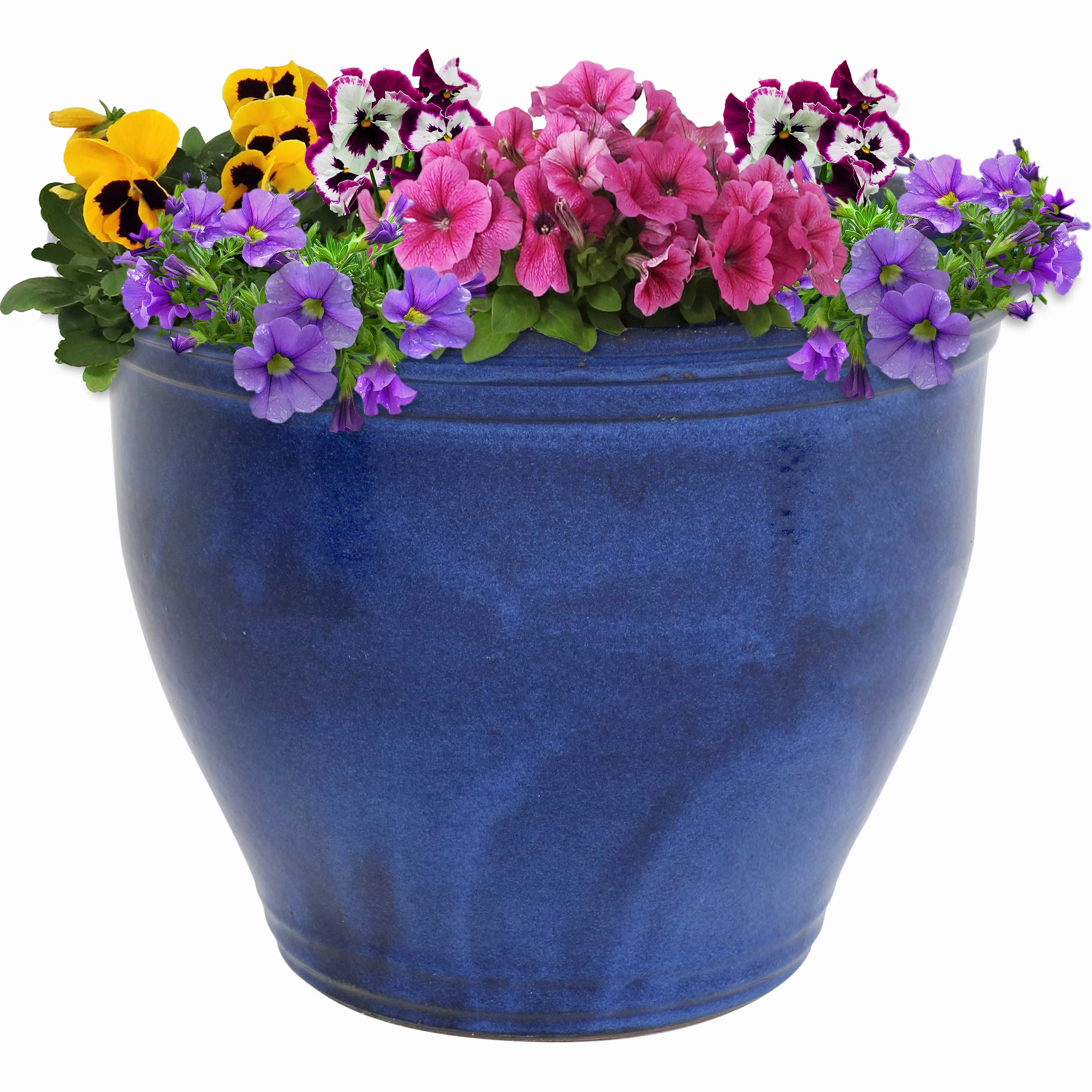 Sunnydaze Studio Round Glazed Ceramic Planter with Drainage