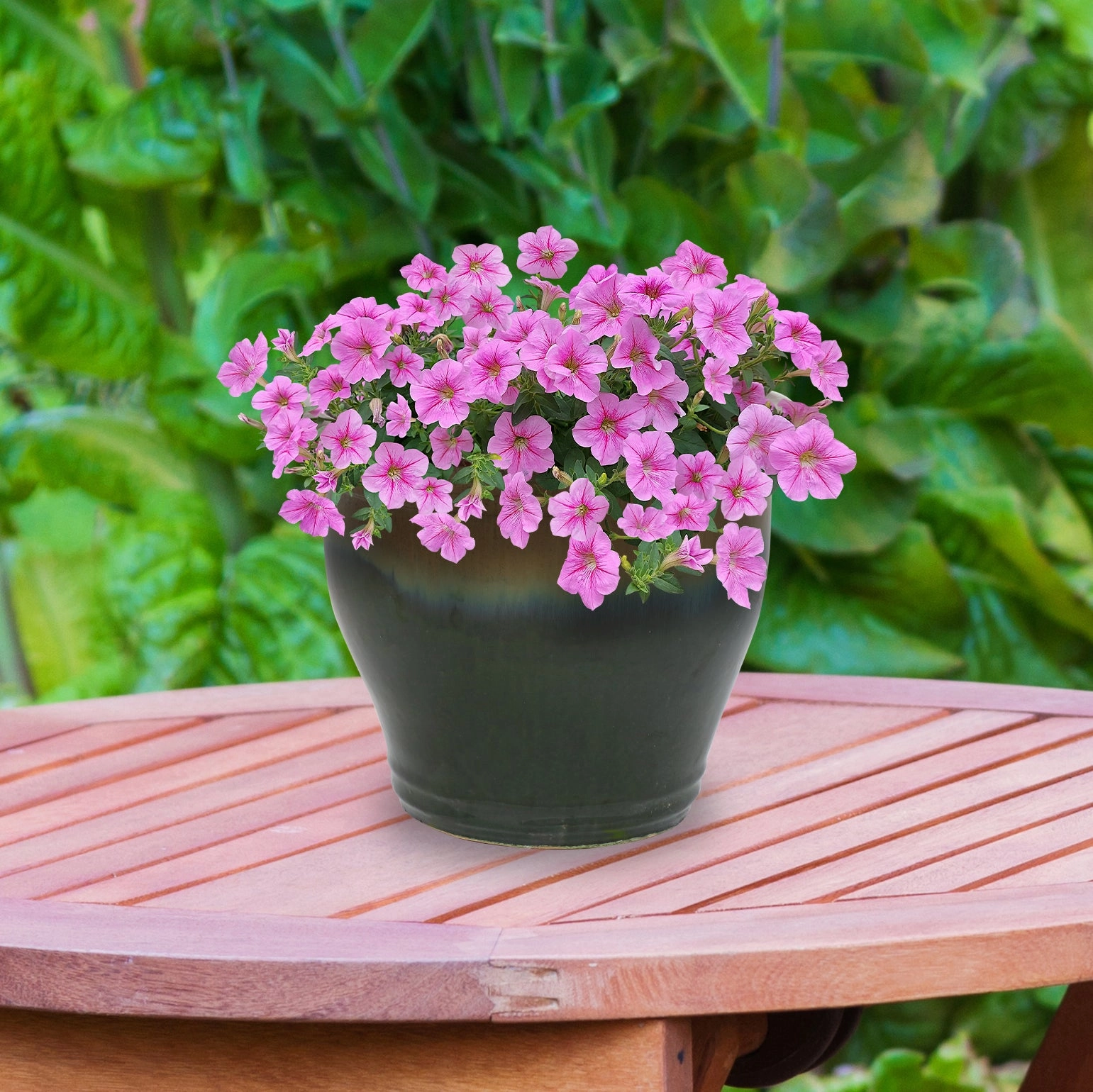 Sunnydaze Studio Round Glazed Ceramic Planter with Drainage