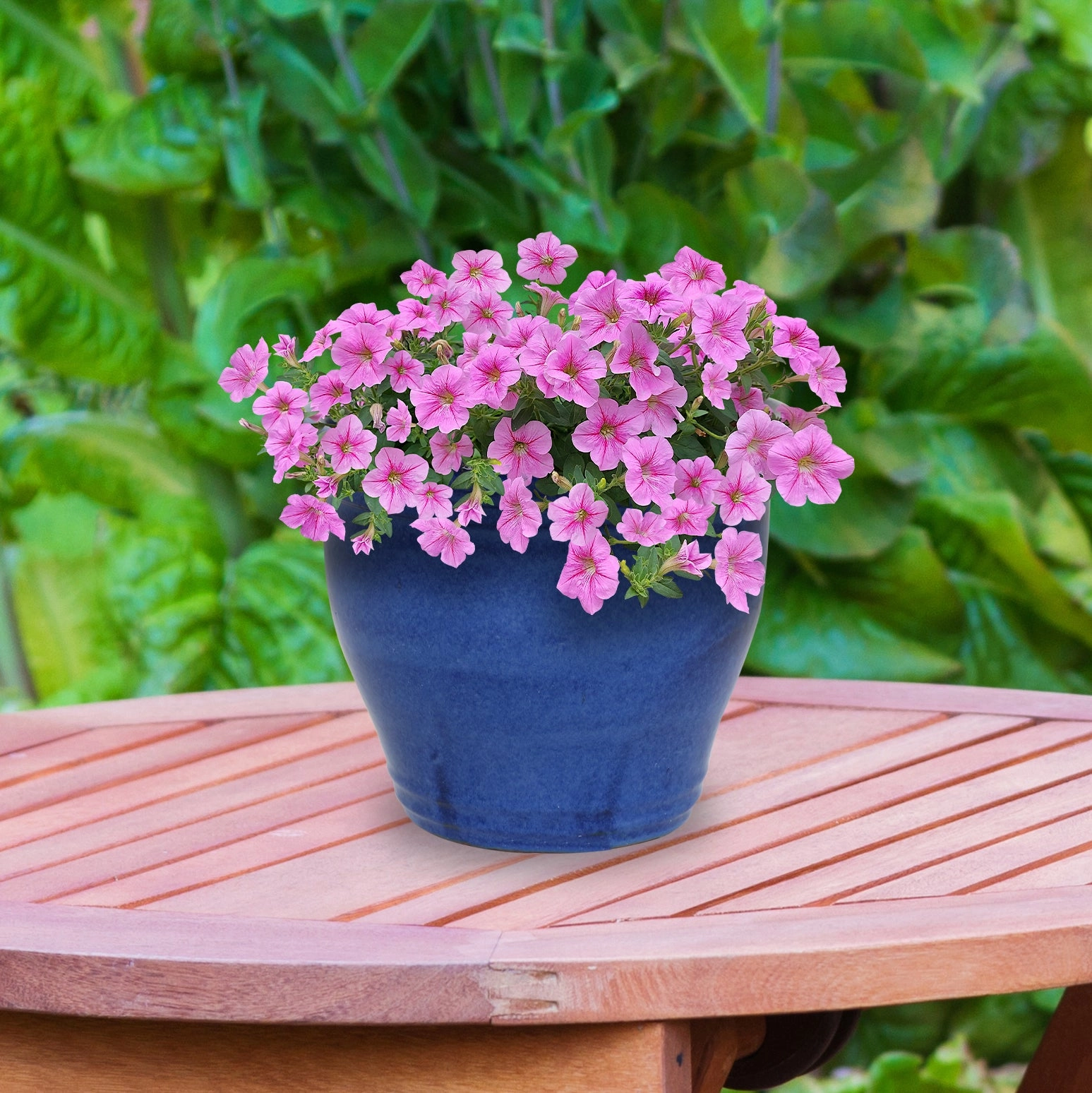 Sunnydaze Studio Round Glazed Ceramic Planter with Drainage