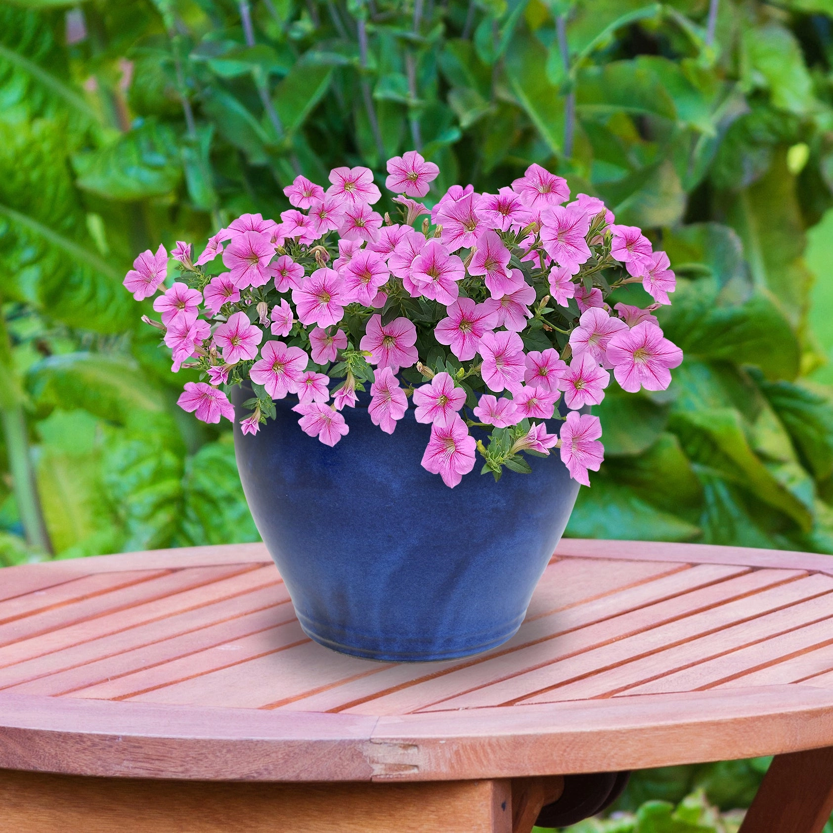 Sunnydaze Studio Round Glazed Ceramic Planter with Drainage