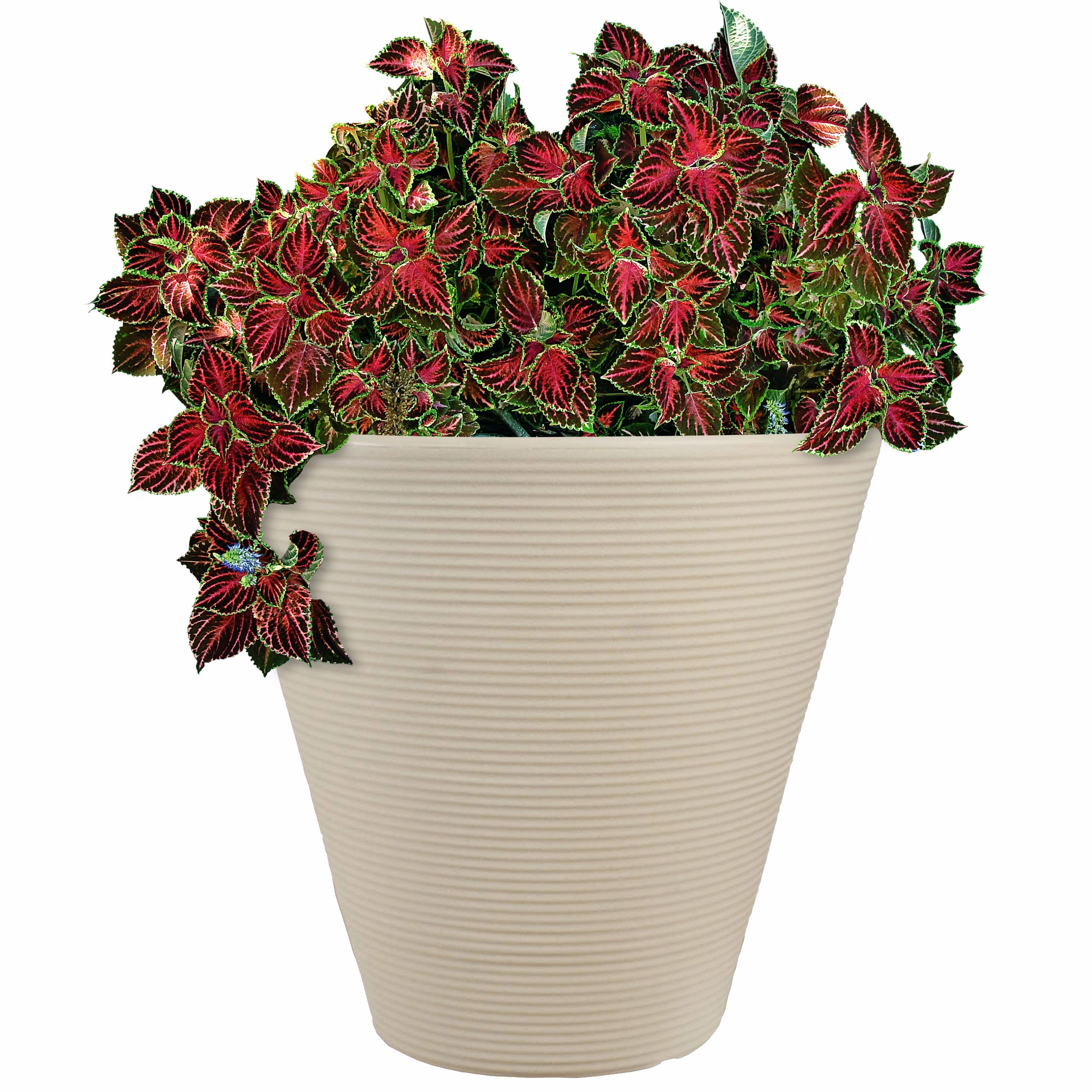Sunnydaze Walter Outdoor Planter - Antique White - 15.5" decorative outdoor planter box designs