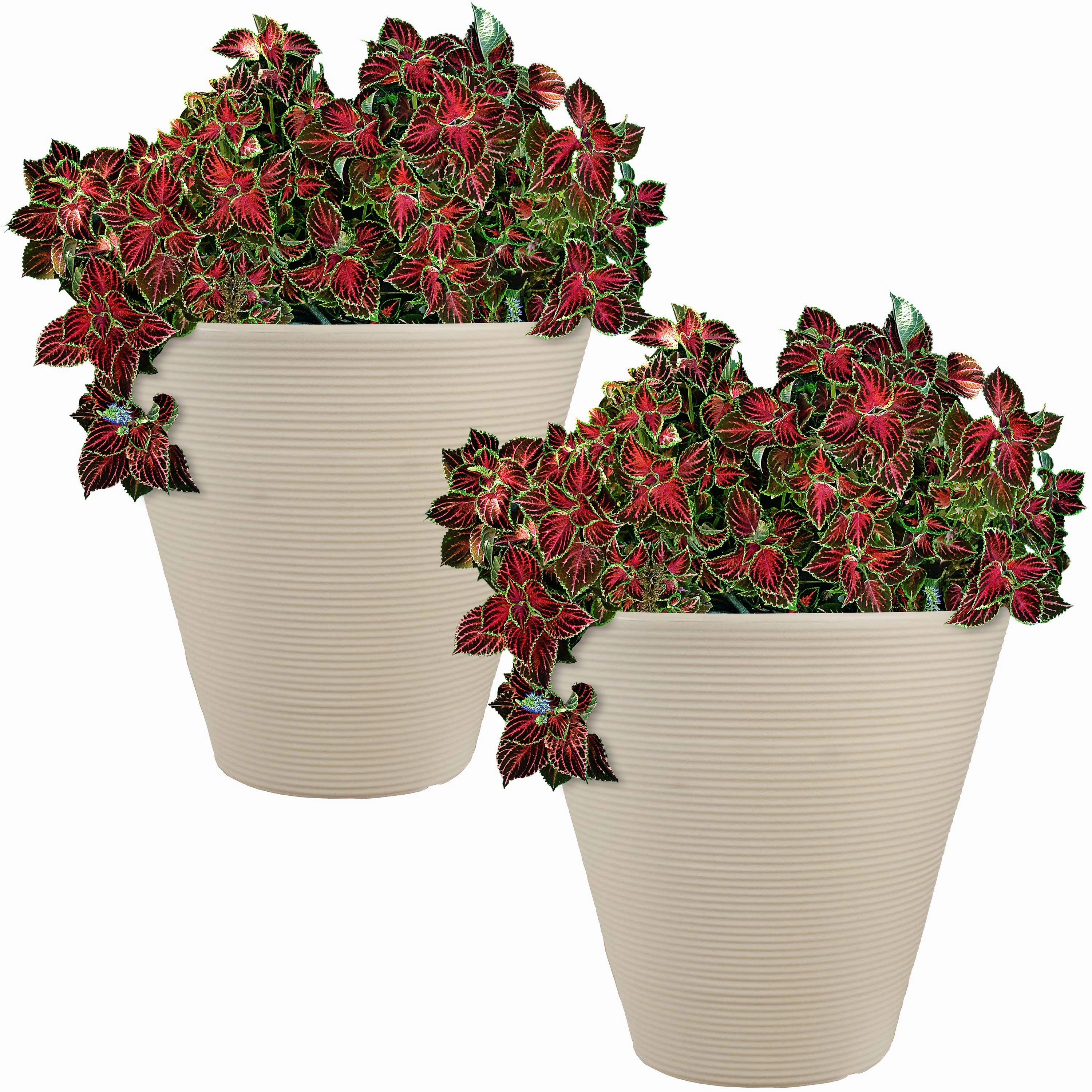 Sunnydaze Walter Outdoor Planter - Antique White - 15.5"