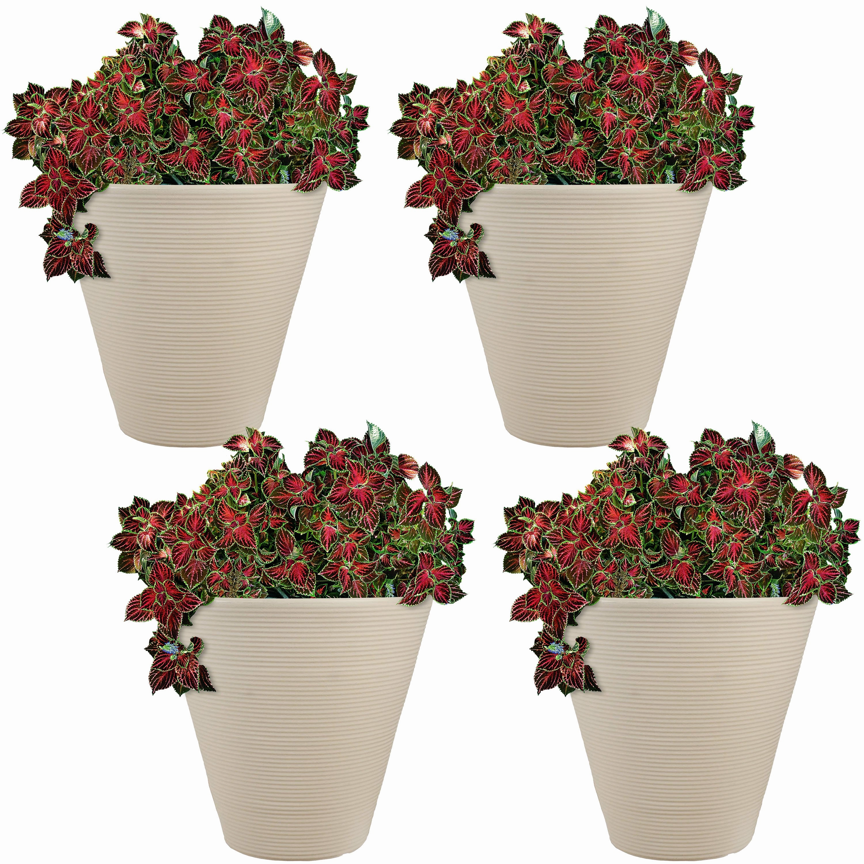 Sunnydaze Walter Outdoor Planter - Antique White - 15.5"