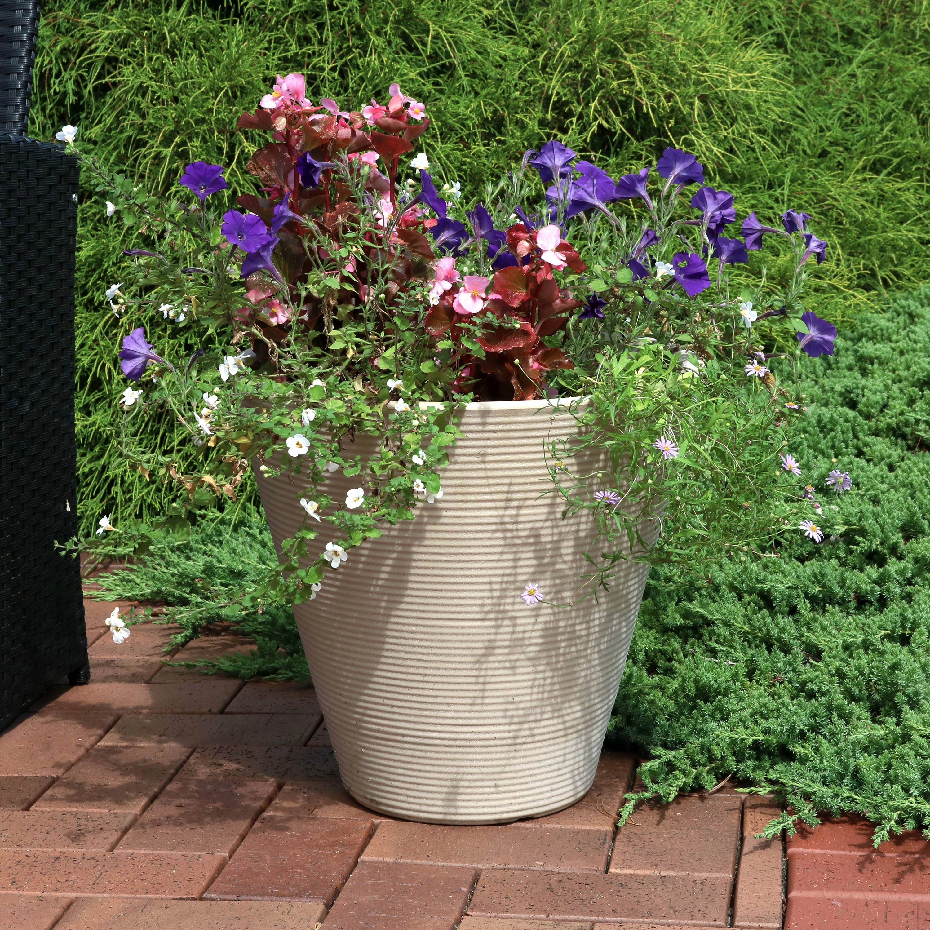 Sunnydaze Walter Outdoor Planter - Antique White - 15.5"