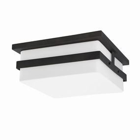 Sutter County 2-Light Outdoor Ceiling LightWeatherproof outdoor lighting
