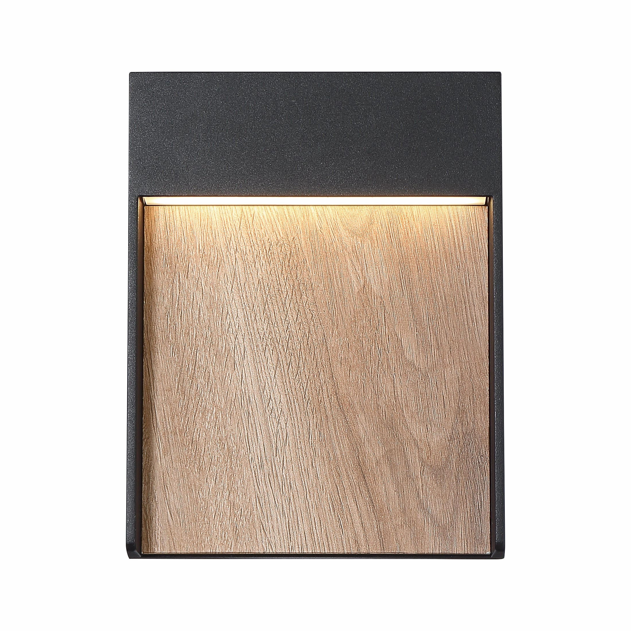 Tempest Outdoor Wall Light