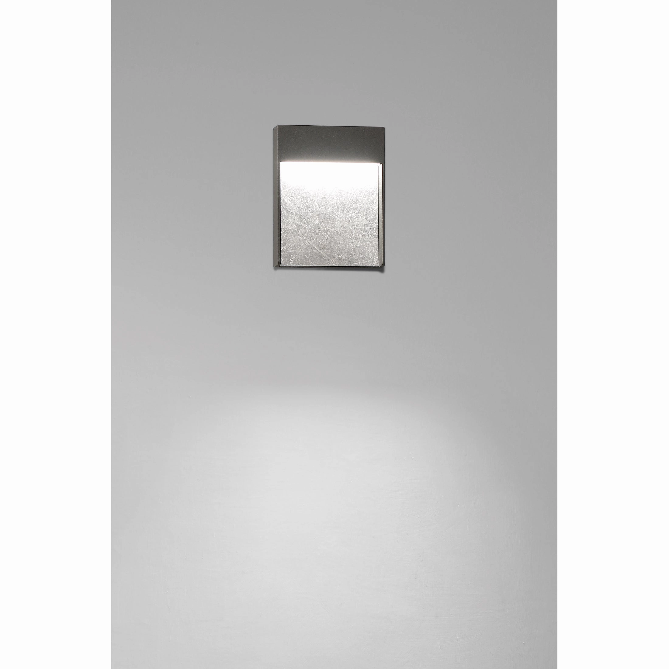 Tempest Outdoor Wall Light