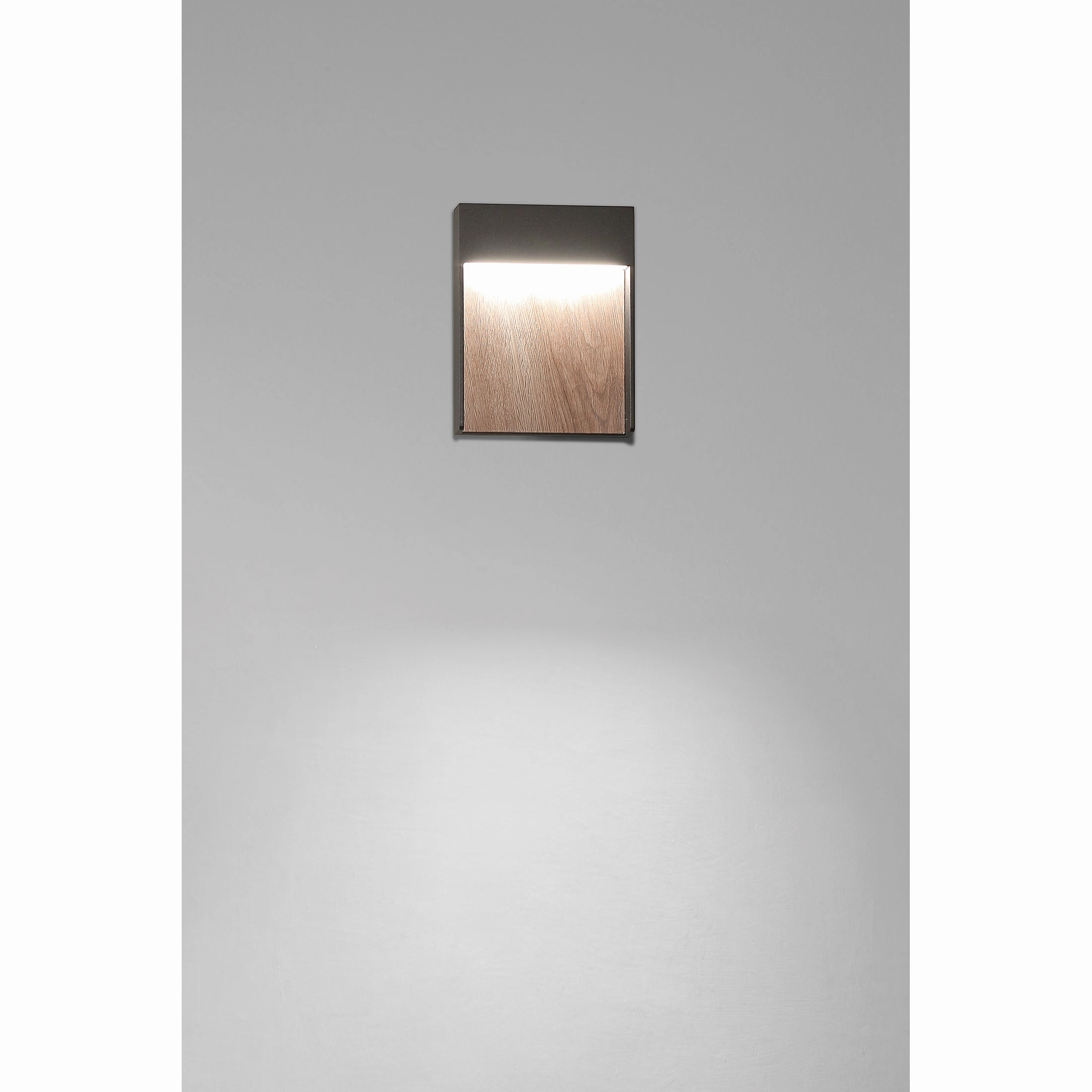 Tempest Outdoor Wall Light