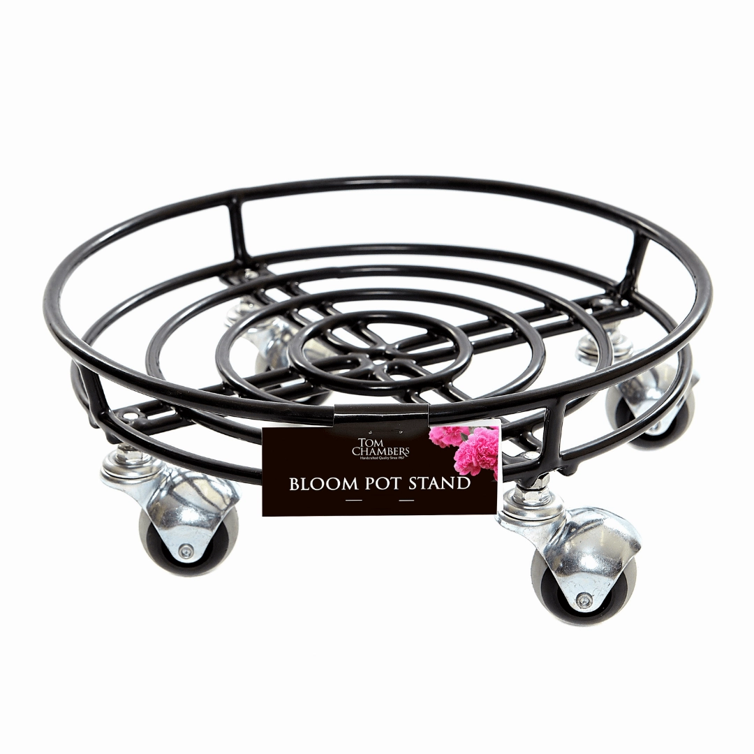 Tom Chambers Bloom Pot Stand on Wheels