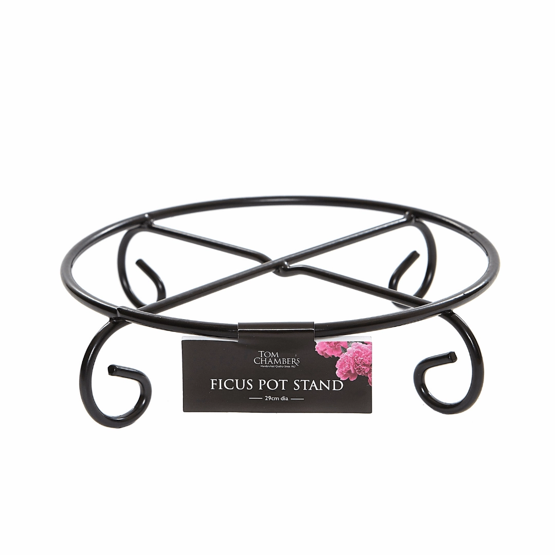 Tom Chambers Ficus Pot Stand hanging garden planters for small spaces