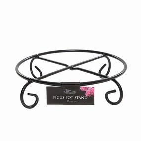 Tom Chambers Ficus Pot Stand hanging garden planters for small spaces