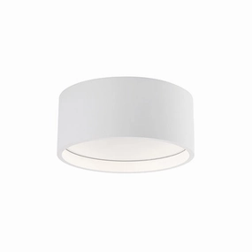 Trenton Outdoor Ceiling LightWeatherproof outdoor lighting
